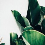 Sample post with format audio