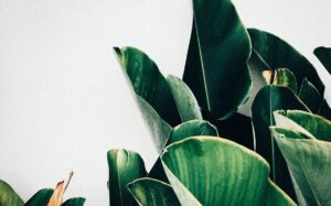 Sample post with format audio