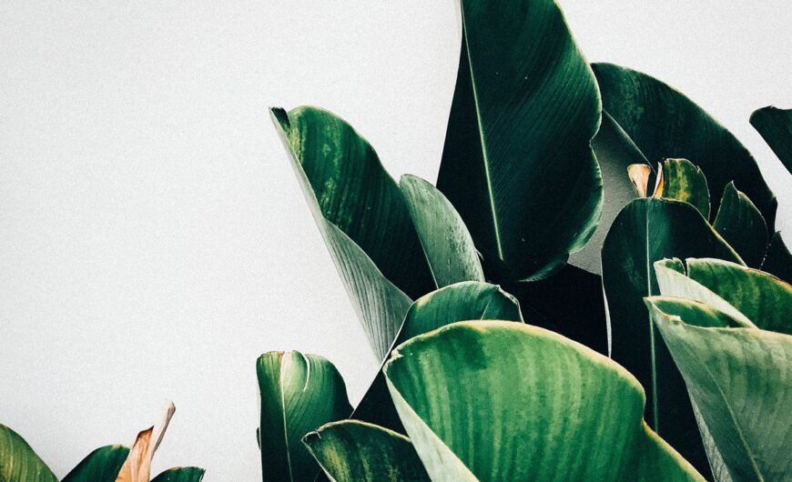 Sample post with format audio