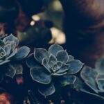 Blog image post (sticky)