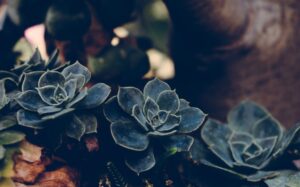 Blog image post (sticky)