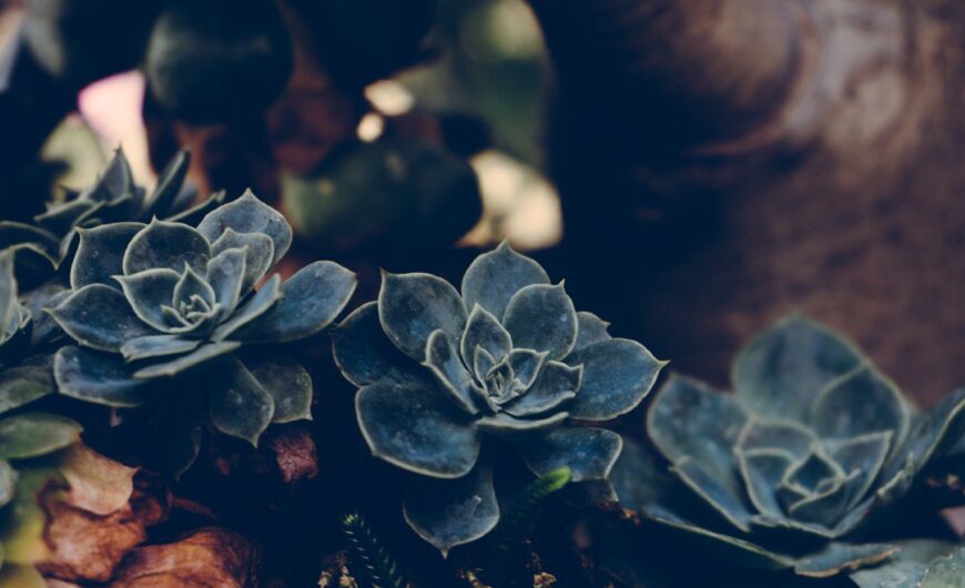 Blog image post (sticky)