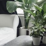 Sample post with format link