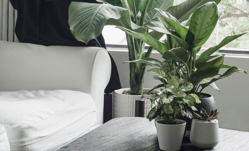 Sample post with format link