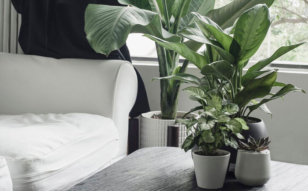 Sample post with format link