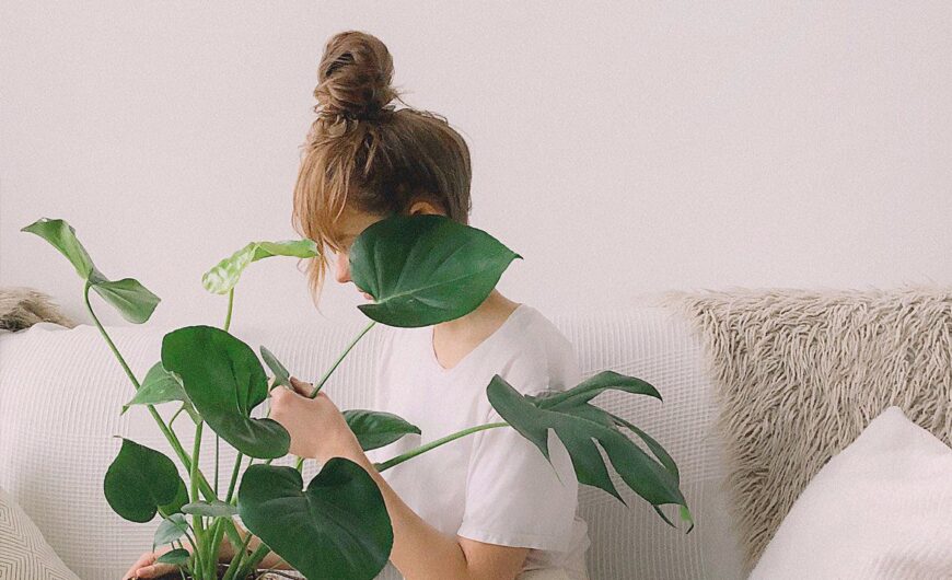 Sample post with format chat