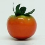 Pomidor