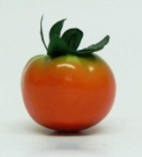 Pomidor